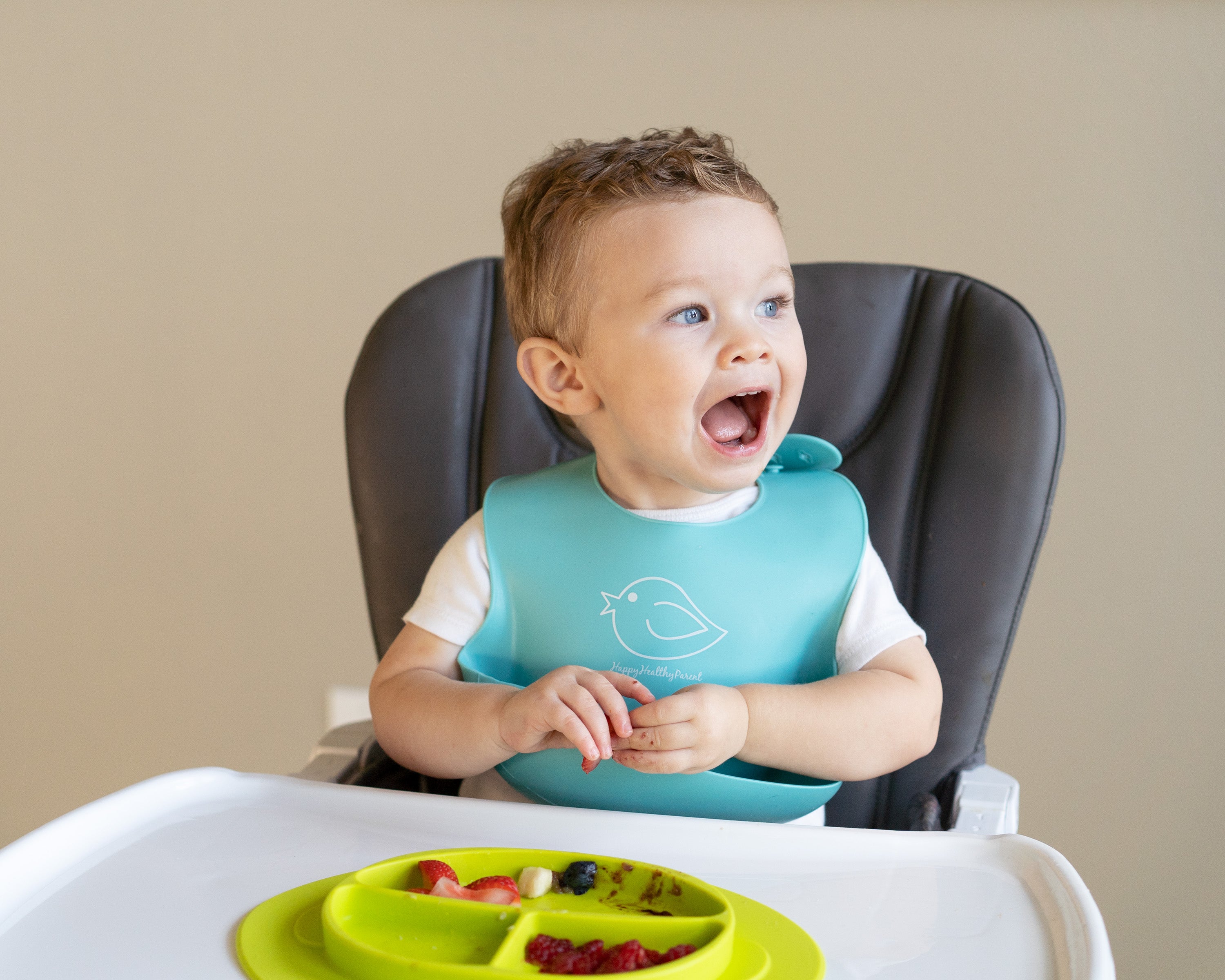 Silicone Bowl and Plate Set – Happy Healthy Parent
